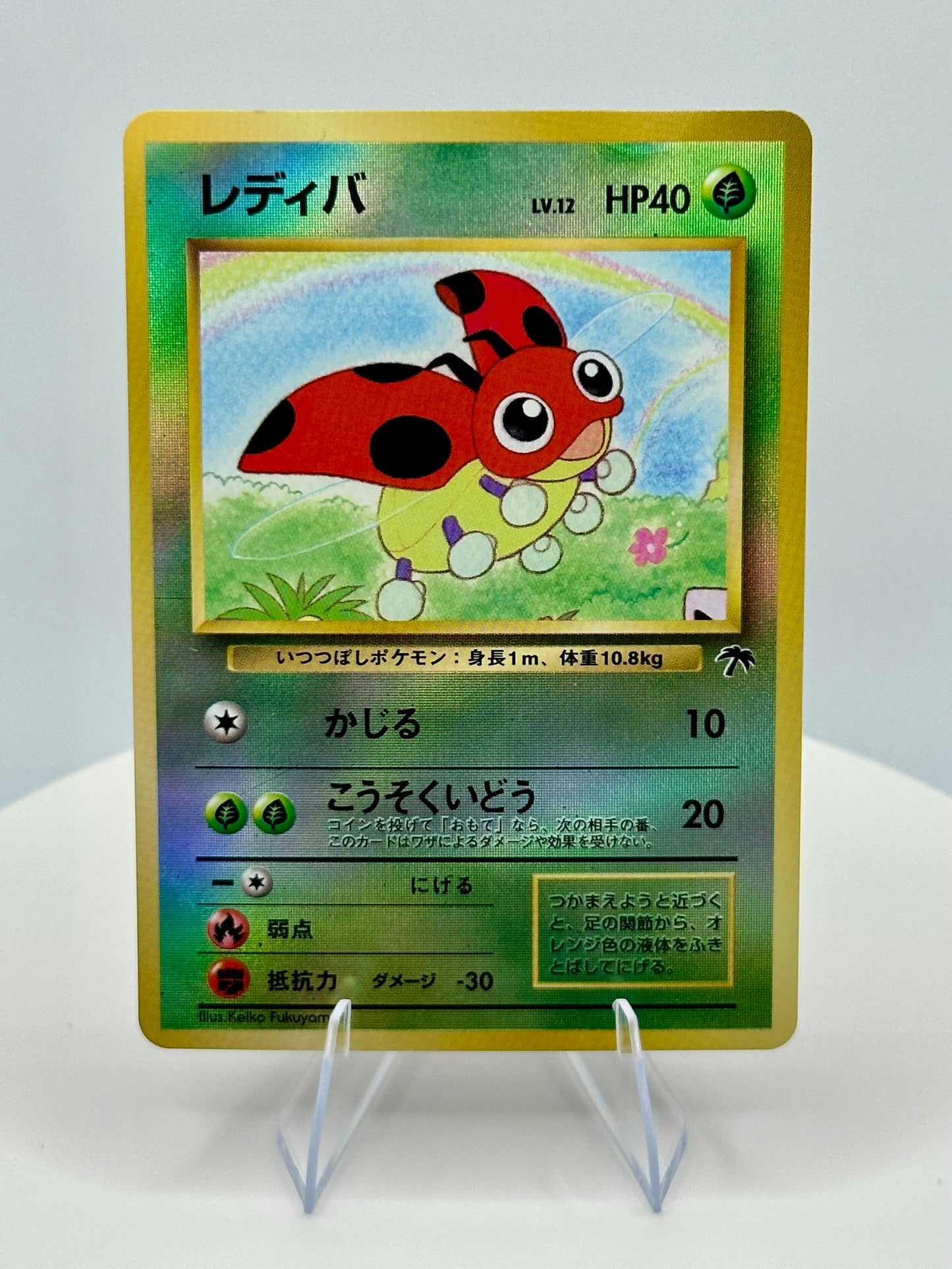 Ledyba - Southern Island (SI) Japanese