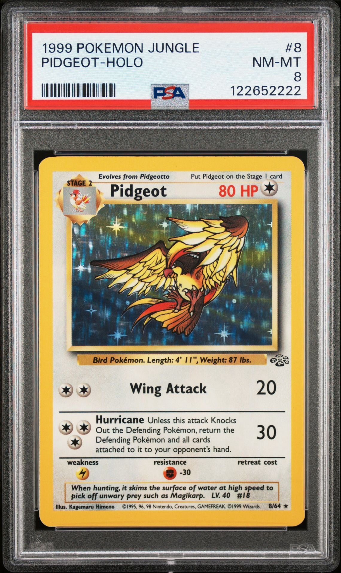 Pidgeot #8 - Jungle